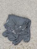 Abandoned and abused