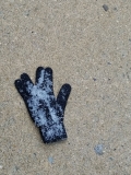 Live long and prosper