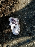 Baby's first lost glove