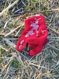 Snow clinging lost, chilly little fingers