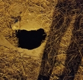 That hole into which all lost things fall
